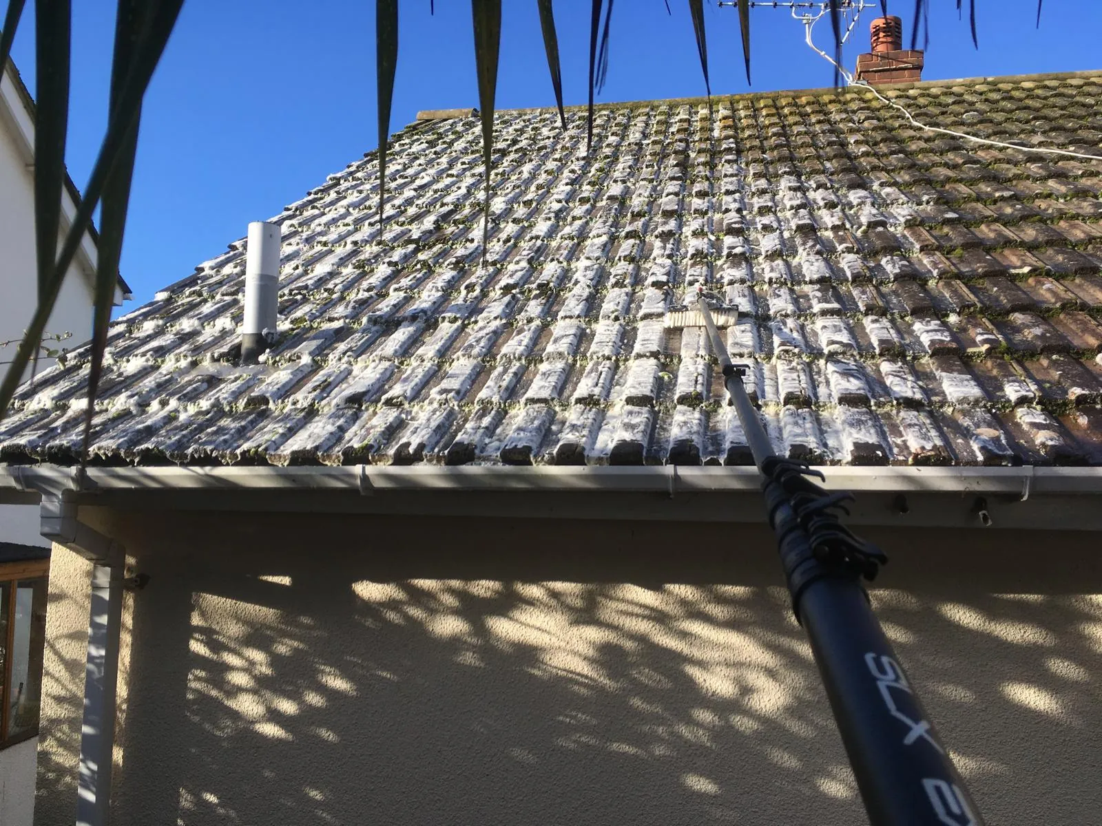 Moss removal work by HIGHVAC